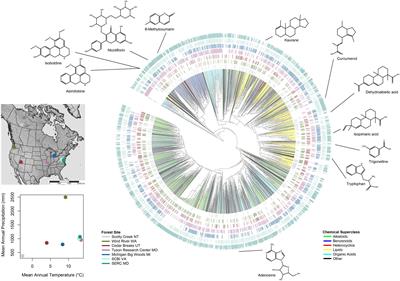 Chemical Similarity of Co-occurring Trees Decreases With Precipitation and Temperature in North American Forests